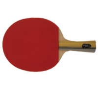 DHS DOUBLE HAPPINESS INTERNATIONAL 2002 TABLE TENNIS BAT (TAB001)