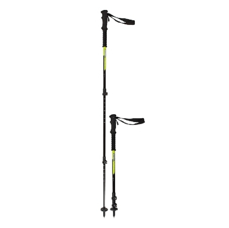 denali walking pole