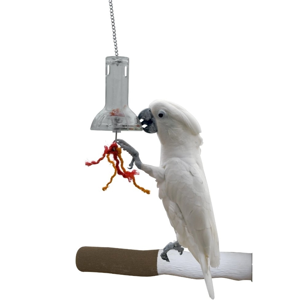 Foraging Capsule Featherland Paradise Foraging Capsule Bird Toy 48 x 11 x 11cm