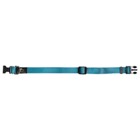 Prestige Pet 3/4 Inch Adjustable Nylon Dog Collar Turquoise 30-46cm