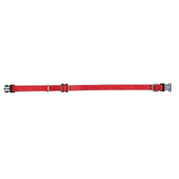 Prestige Pet 1 Inch Adjustable Nylon Dog Collar Red 41-71cm