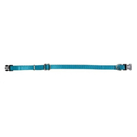 Prestige Pet 1 Inch Adjustable Nylon Dog Collar Turquoise 41-71cm