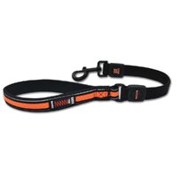 Scream Reflective Bungee Leash w/ Padded Handle for Dogs Loud Orange 2.5 x 55cm