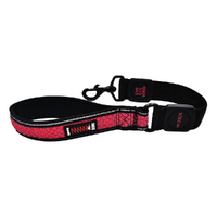 Scream Reflective Bungee Leash w/ Padded Handle for Dogs Loud Pink 3.8 x 55cm