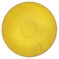 BUFFALO SPORTS INDOOR DISCUS - SOFT HOLLOW MOLDED PVC -300G (ATH203)