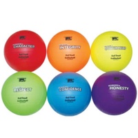 BUFFALO SPORTS SET 2 PREMIUM SOFT TOUCH VOLLEYBALL - 6 BALLS (CORVAL012)
