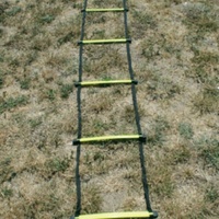 BUFFALO SPORTS FLAT HD PLASTIC SPEED LADDER - 4M OR 8M LENGTHS AVAILABLE