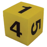 BUFFALO SPORTS FOAM DICE - 130MM SQUARE - NUMBERS 1 TO 6 (FUN082)