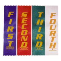 BUFFALO SPORTS 100 CROSS COUNTRY RIBBONS - 1ST/2ND/3RD/4TH - SAFETY PINS