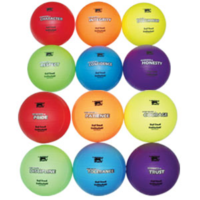 BUFFALO SPORTS SET 1 & 2 PREMIUM SOFT TOUCH VOLLEYBALL - 12 BALLS (CORVALSET2)