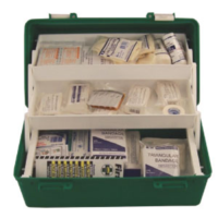 BUFFALO SPORTS FIRST AID CARRY CASE - INCLUDES THE ESSENTIALS (FIRST004)