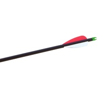 HART FIBREGLASS TARGET ARROWS - 12 PACK - DRAWN STEEL POINT (1-120)