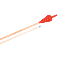 HART WOODEN TARGET ARROWS - 12 PACK - ONE PIECE PLASTIC NOCK (1-117)