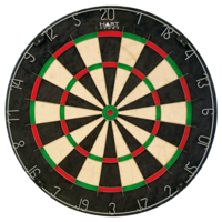HART PLAYER DARTBOARD - QUALITY BRISTLE DARTBOARD (16-701)