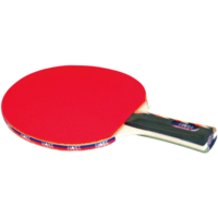HART COMPETITION BAT - 4 STAR BAT 6MM HARD PLYWOOD (21-032)