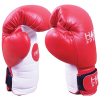 HART HYBRID BOXING GLOVES / PADS - HIGH QUALITY LEATHER MATERIAL (6-469)
