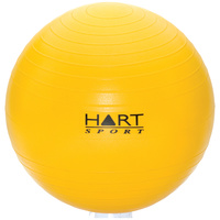 HART SWISS BALL - GREAT ALL ROUND SWISS BALL OF ALL KINDS OF DIFFERENT TRAINING