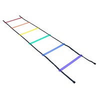 HART RAINBOW MULTI COLOUR AGILITY LADDER - 2M LENGTH (2-016)