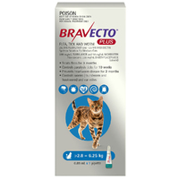 Bravecto Plus 3 Month Cat Spot On Tick & Flea Treatment 2.8-6.25kg Medium Blue