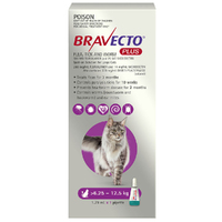 Bravecto Plus 3 Month Cat Spot On Tick & Flea Treatment 6.25-12.5kg Large Purple