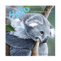 Hello Koala & Other Australian Animals Childrens Book (BRO409519)