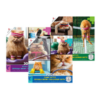 Ceaco Cranky Kitties Jigsaw Puzzle Assorted 300 Pieces XL (CEA2287)