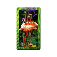 Cheatwell 3D Magna Portrait Flamingo (CHE31118)