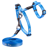 Rogz Kiddycat Polyester Cat Harness & Lead Set Royal Blue 11mm