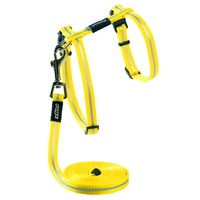Rogz Alleycat Adjustable Cat Harness & Lead Set Dayglo 11mm