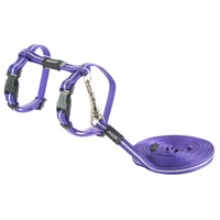 Rogz Alleycat Adjustable Cat Harness & Lead Set Purple 8mm