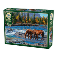 Cobble Hill On the Rocks Jigsaw Puzzle 1000 Pieces (COB40267)