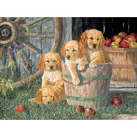 Puppy Pail Jigsaw Puzzles 350 Pieces (COB54638)