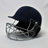 Buffalo Sports Matrix Cricket Helmet BS7928:2013 (CRICK400)