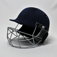  Buffalo Sports Matrix Cricket Helmet BS7928:2013 (CRICK400)