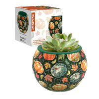 Pintoo Flowerpot Pumpkin Season 3D Puzzle 80 Pieces (CUBK1107)