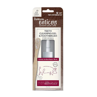 TropiClean Enticers Teeth Cleaning Kit Hickory Smoked Bacon for Large Dogs