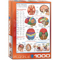 Eurographics The Human Brain Jigsaw Puzzle 1000 Pieces