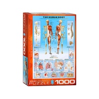 The Human Body 1000 Piece (EUR61000)