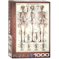 Eurographics The Skeletal System Jigsaw Puzzle 1000 Pieces