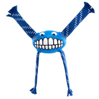 Rogz Flossy Grinz Oral Care Dog Squeaker Toy Blue Medium
