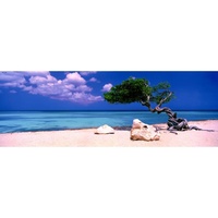 PANORAMA, DIVI DIVI TREE 1000p (HEY29399)