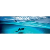 PANORAMA, STINGRAY 1000pc (HEY29470)