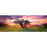 PANORAMA, OAK TREE 2000pc (HEY29472)
