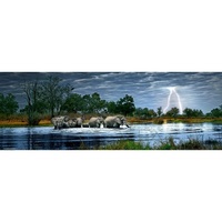 PANORAMA, HERD ELEPHANTS 2000p (HEY29508)