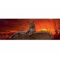 PANORAMA, RED DAWN 2000pc (HEY29608)