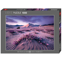 Heye Von Humbold Arrow Dynamic Jigsaw Puzzle 1000 Pieces (HEY29945)