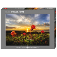 Heye Von Humboldt Cloudberries Jigsaw Puzzle 1000 Pieces (HEY30016)