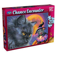 Chance Encounter Spell Jigsaw Puzzles 500 Pieces XL (HOL773343)