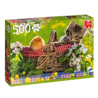 Ready for A Picnic Jigsaw Puzzles 500 Pieces (JUM18801)