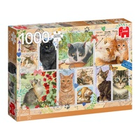 Cat Stamps 1000pcs (JUM18813)